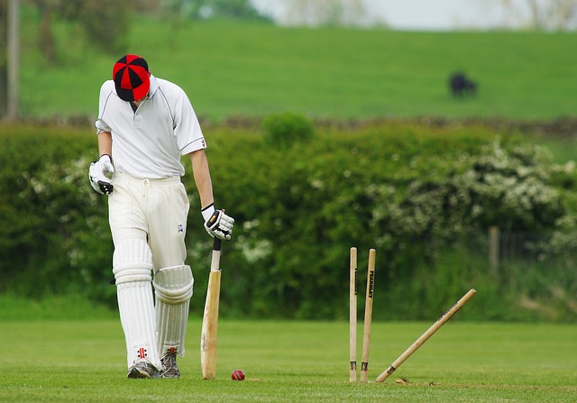 The role of team sustainability coordinators in IPL squads