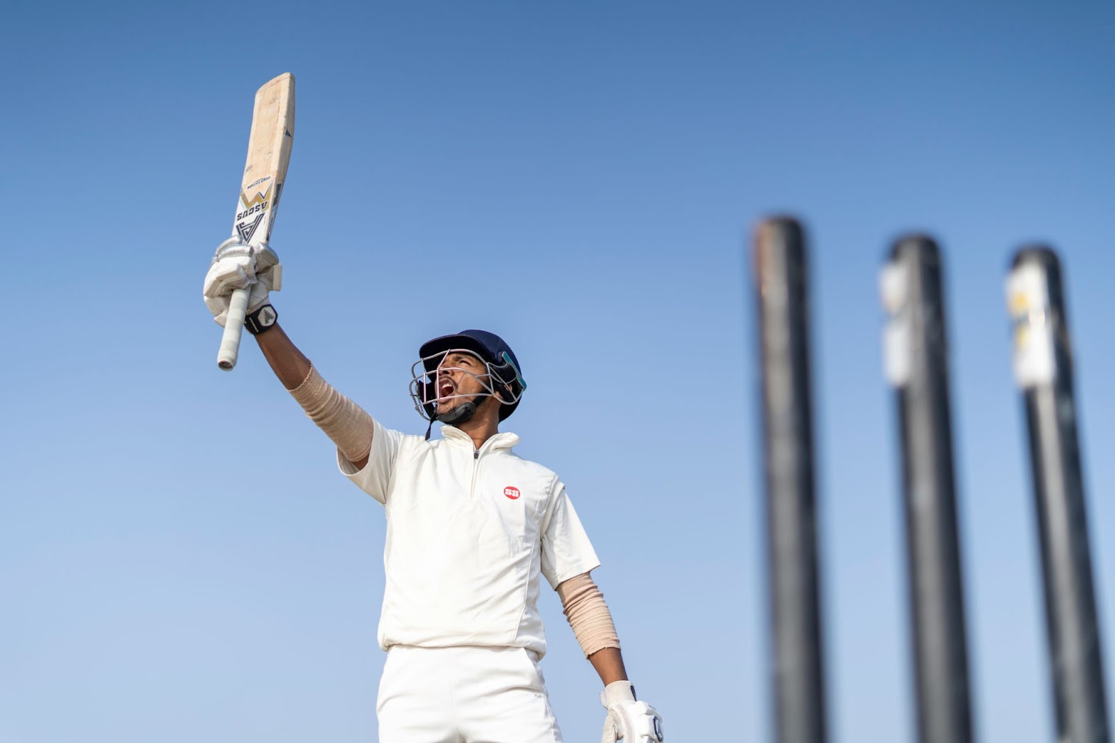 World Cricket Stars