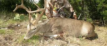 Texas is a Premier Destination for Hunters