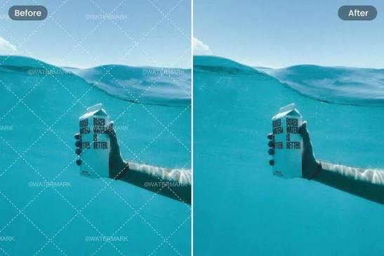 AI Watermark Remover
